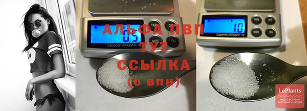 прущие крисы Покачи