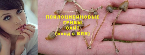 гидра Покровск
