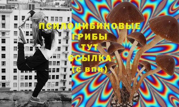 прущие крисы Покачи