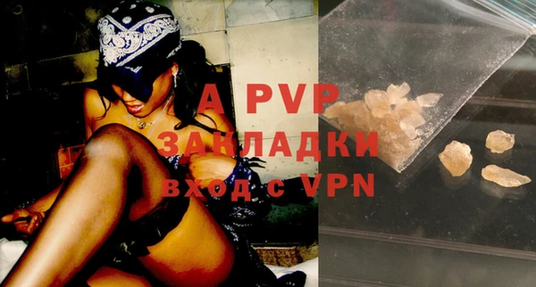 прущие крисы Покачи