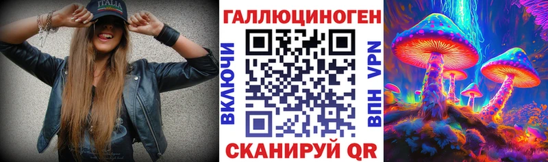 omg tor  Шахунья  Псилоцибиновые грибы Cubensis  как найти закладки 