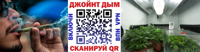Канабис планчик  Шахунья 